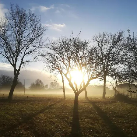 Colonica Il Picchio Casa de hóspedes 3*