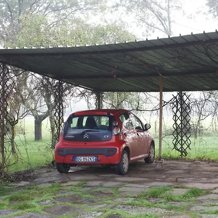 Casa de hóspedes Colonica Il Picchio