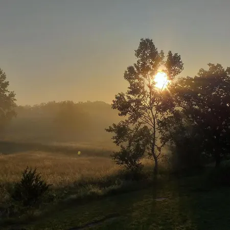 Colonica Il Picchio 3*