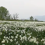 Colonica Il Picchio 3*