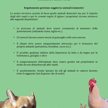 Colonica Il Picchio 3*